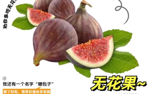 有谁吃了六味地黄丸症状都好了-专业吃了六味地黄丸有什么好处平台-吃六味地黄丸的三种结果